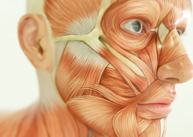 Level 3 Anatomy & Physiology